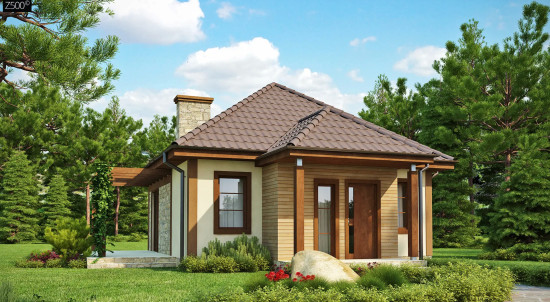 Проект маленького уютного дома с функциональной планировкой Оснащен всем необходимым для постоянного проживания Z73