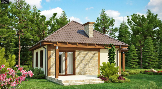 Проект маленького уютного дома с функциональной планировкой Оснащен всем необходимым для постоянного проживания Z73